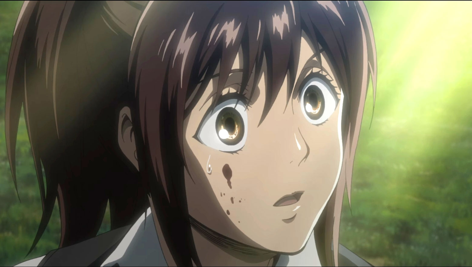 アニメ進撃の巨人のop どれが一番好き 海外アンケートで 僕の戦争 紅蓮の弓矢 を抜いて1位になったのは 海外の反応 ぽぷめでぃ 海外の反応 日本の反応